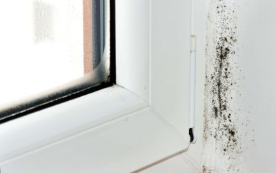 How to Prevent Mold Growth at Home With Moisture Control