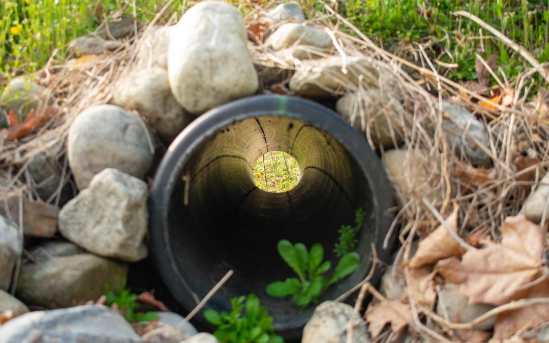 Stop the Flood: Practical Ways to Improve Drainage on Your Property