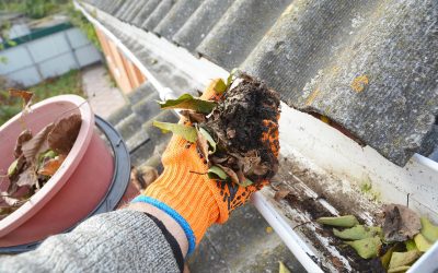 What the Outside Is Telling You: Exterior Home Maintenance Every Homeowner Should Practice